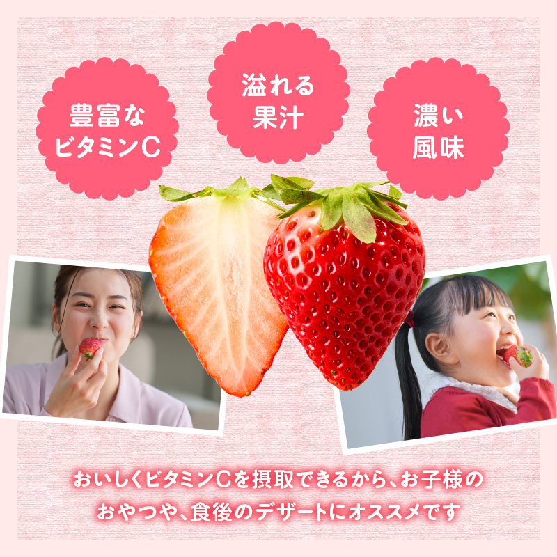★予約受付★平川いちご農園 佐賀県玄海町産いちご「いちごさん」2025年1月～4月順次配送