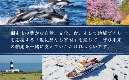 【返礼品なし】北海道網走市・応援寄附10,000円（寄附のみの応援受付 ※返礼品はございません） ABBT003