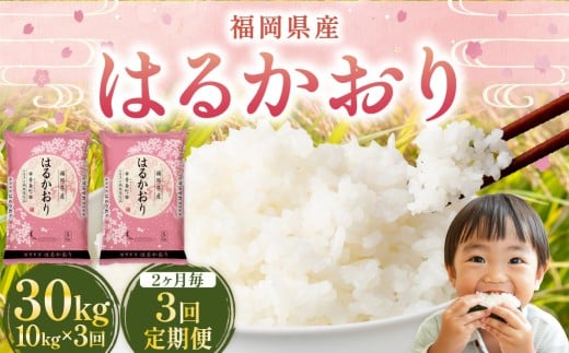 【2ヶ月毎3回定期便】はるかおり10kg