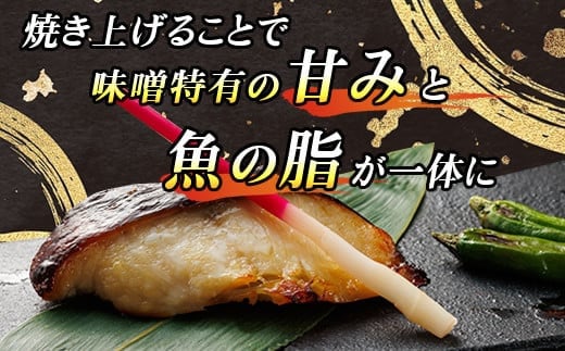 釧之助本店人気の組合せセットA | 魚介類 銀だら味噌漬け 銀鱈 ぎんだら ギンダラ 魚 漬魚 味噌 いかの塩辛 イカ 烏賊 さけとば 秋 鮭トバ 鮭 トバ さけ サケ シャケ ご飯との相性抜群 人気