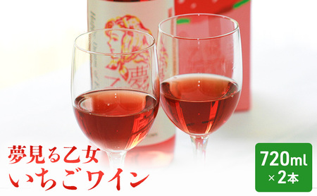 【9月30日受付終了】【亘理町いちご産】夢見る乙女2本セット