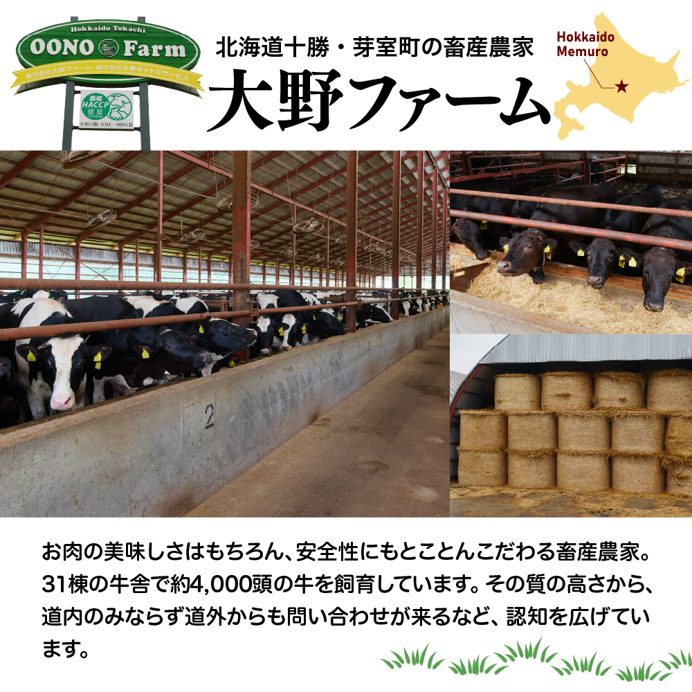 北海道十勝芽室町 カウ・カウビーフシチュー カウ・カウビーフカレー 各2個セット 未来とかち牛100％使用 me007-009c