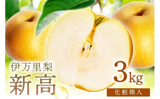 【 数量限定 】 伊万里 梨 新高 3kg 化粧箱 199-B1088