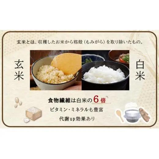 【玄米】《令和 7 年産》お米 ゆめぴりか玄米 5kg｜米 北 海道 岩見沢市 ファーム坂口の特別栽培米