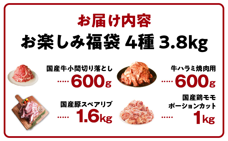 【夏の肉福袋】4種 3.8kg 焼肉セット（牛肉 切り落とし／牛ハラミ／豚肉 スペアリブ／鶏肉）【氷温熟成×極味付け 焼くだけ 食べ比べ ふくぶくろ お楽しみ 簡単調理】 mrz0155