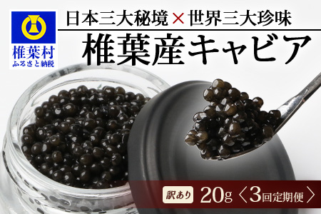 【3回定期便】【訳あり】 国産 キャビア HEIKE CAVIAR 20g × 3回 計60g 【世界三大珍味×日本三大秘境】 訳あり 宮崎 椎葉 国産 チョウザメ キャビア 定期便 魚卵 魚介 珍味 贈答 希少 SZ-117_3teiki