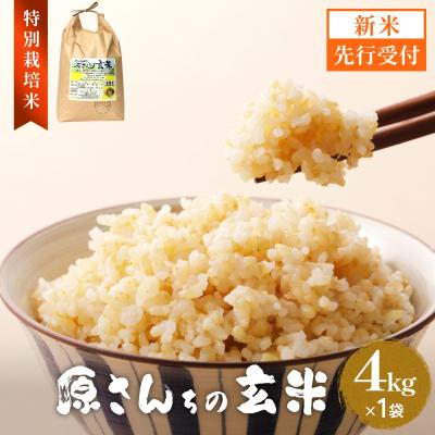 ふるさと納税 玖珠町 【令和8年産米先行受付】原さんちのお米 玄米 4kg にこまる 米 お米 こめ コメ ご飯