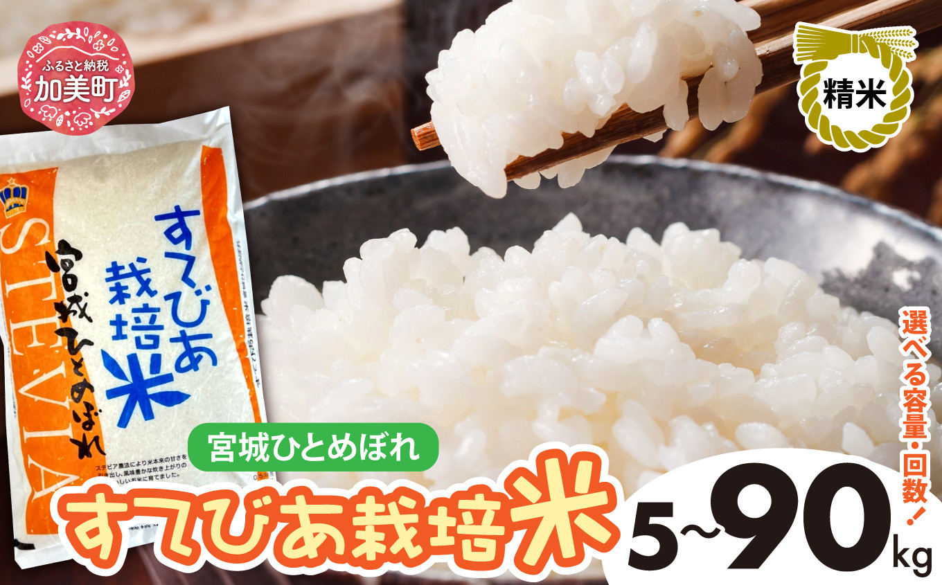 
            新米 精米 令和6年度産 すてびあ栽培米 宮城県産 ひとめぼれ 5kg 10kg 定期便 3回 ～ 9回 [菅原精米工業 宮城県 加美町 ]  | sw00001-02-r6
          