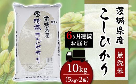 こしひかり 無洗米 10kg 6ヶ月連続お届け 小松崎商事 茨城県産 令和6年 254