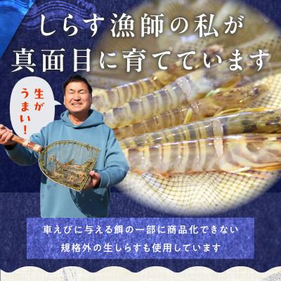 ふるさと納税 泉佐野市 【生食可】泉州車えび 300g 訳あり サイズ不揃い 先行予約 G2185 |  | 02
