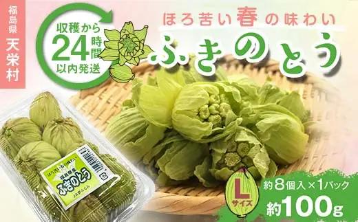 収穫から24時間以内に発送！ほろ苦い春の味わい「ふきのとう」Lサイズ1パック100g（約8個） F21T-347