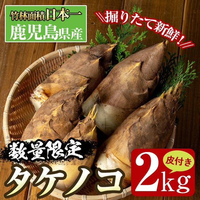 【ふるさと納税】≪数量限定！先行予約受付中！！2027年3月下旬～4月中旬の間に発送予定≫鹿児島県出水市産！たけのこ＜皮付き2kg＞ たけのこ 筍 タケノコ 国産 皮付き 野菜 旬 新鮮 採りたて 煮物 味噌汁 炊き込みご飯 【シンタク】