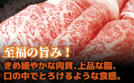 河北潟ポーク & 能登牛 しゃぶしゃぶセット 約950g | 牛肉 豚肉 お肉