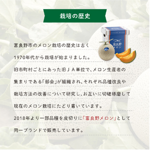【2026年8月～発送】JAふらの 赤肉メロン 2玉 計3.2kg 富良野市 メロン フルーツ 果物