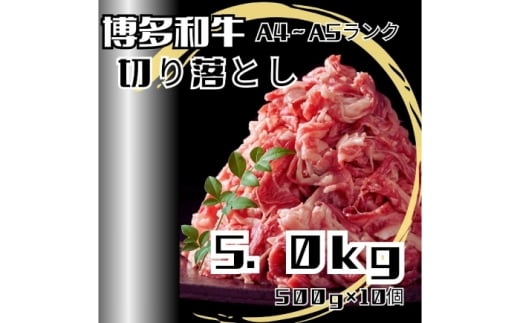 【訳あり】博多和牛A4ランク以上切り落とし 5.0kg（500g×10個） 広川町 / 株式会社木村食品 [AFCG053]