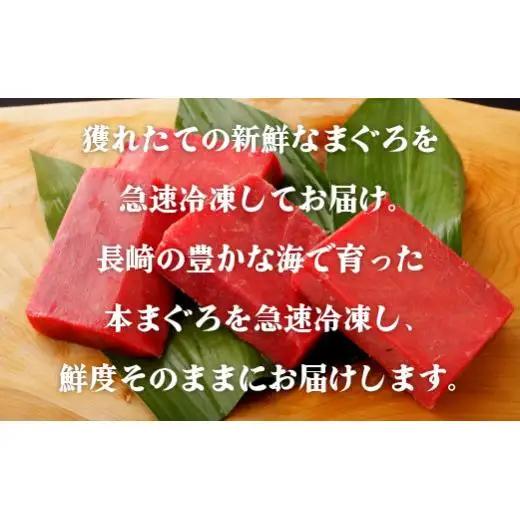 長崎県産 本まぐろ 赤身(養殖) マグロ クロマグロ 800g A206-x 