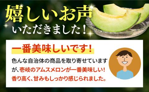 【先行予約】アムスメロン 翠 2個入り【2025年6月中旬以降順次発送】 《壱岐市》【フレッシュメイト壱岐】[JAZ004] 果物 くだもの 果実 フルーツ 12000 12000円