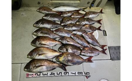 タイラバ・タコ釣り遊漁船　『デカガメ』　乗合　利用券　2名様　乗船券 釣り 乗合い 船 魚釣り フィッシング 体験 チケット レジャー 魚 さかな 兵庫県 播磨町