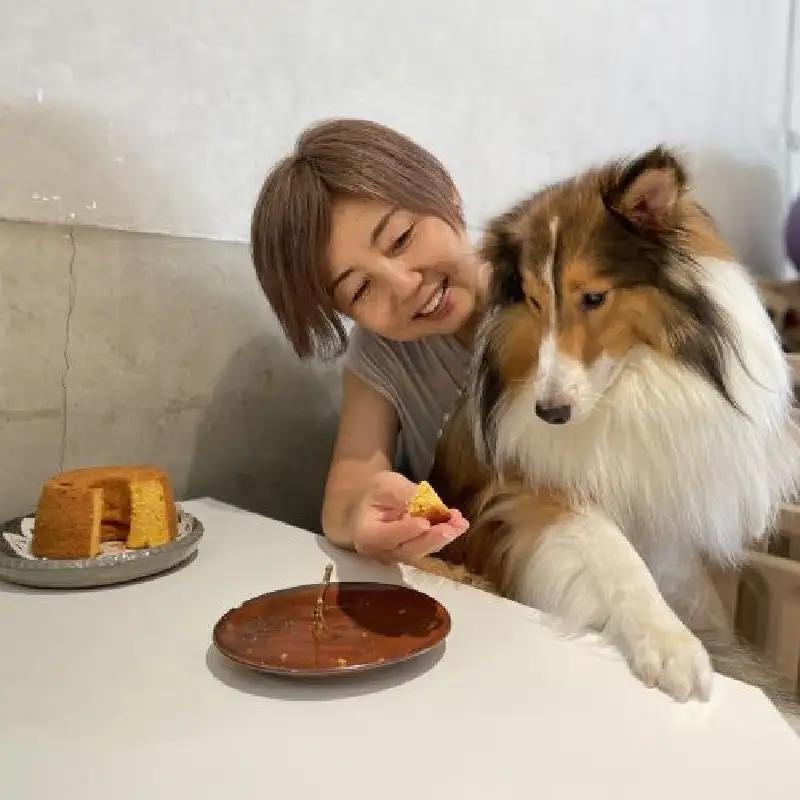 無為自然 米粉シフォンケーキ ブルーベリーパウンドケーキ コーヒー焙煎豆セット グルテンフリー スイーツ 愛犬 手作り ギフト_0054-002-se5