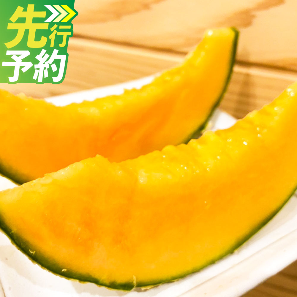 【ふるさと納税】【2回定期便】『まるで果物の王様！贅沢メロン』 熊本県産 2玉セット 1箱 計4玉（2玉×2回） 特別な定期便 赤肉・青肉 2色楽しめる めろん くだもの 果物 果実 フルーツ 贈答 ギフト 国産 九州 熊本県 熊本市 送料無料 【2027年1月下旬より1回目発送開始】