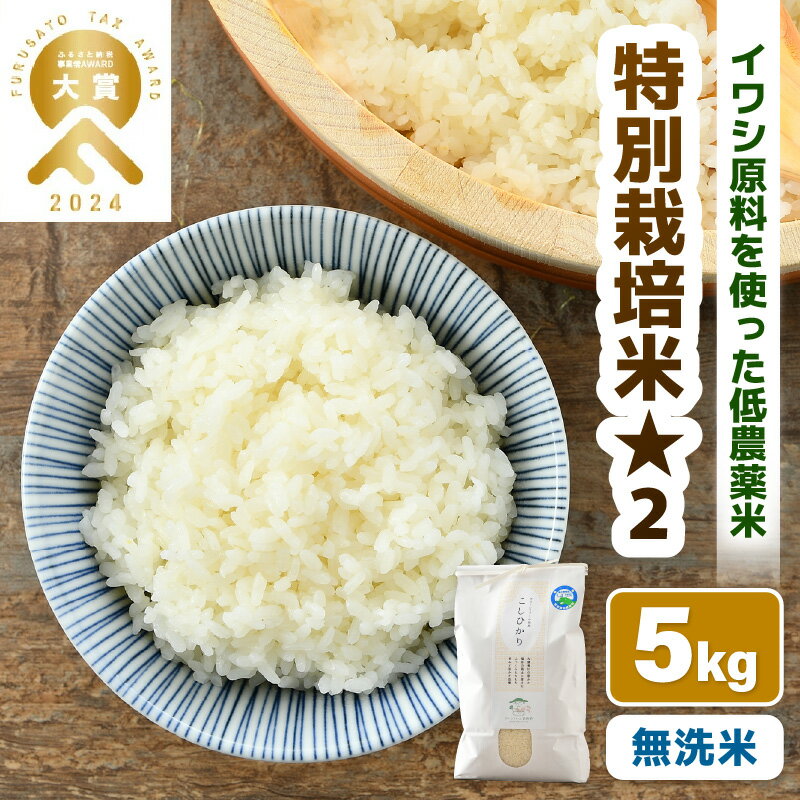【ふるさと納税】【先行予約】【令和7年産 新米】 米 無洗米 5kg 特別栽培米 コシヒカリ 無洗米 5kg 低農薬 / 5キロ 北陸 福井県産 あわら市 ブランド米 白米 お米 コメ 特栽米 ※2025年10月上旬以降順次発送