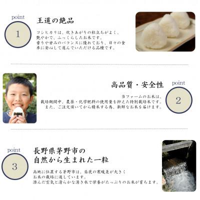 ふるさと納税 茅野市 長野県産特別栽培米　コシヒカリ　精米　5kg |  | 01