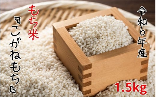 【令和6年産】平泉町産もち米 こがねもち 1.5kg / お米 こめ もちごめ 令和6年産 産地直送 国産 もち米の王様 年末 お正月 餅つき お餅 お雑煮 ぞうに お赤飯 おはぎ ぼたもち ギフト プレゼント 贈答 お祝い お返し