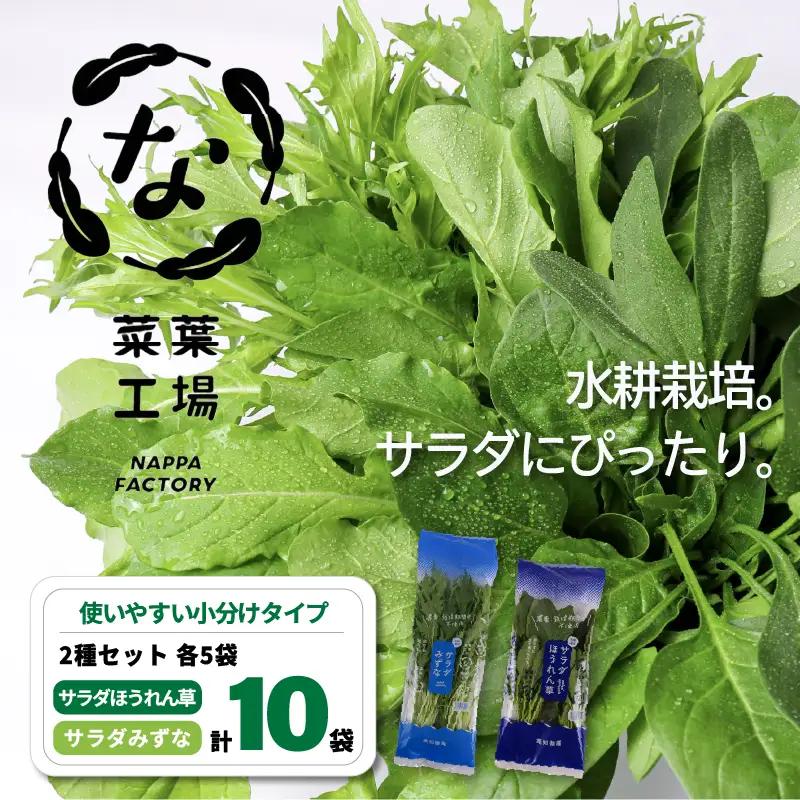 2種セット サラダほうれん草 みずな サラダセット | 水菜 ほうれんそう 水耕 栽培 新鮮 葉物 野菜 ドレッシング 南国市