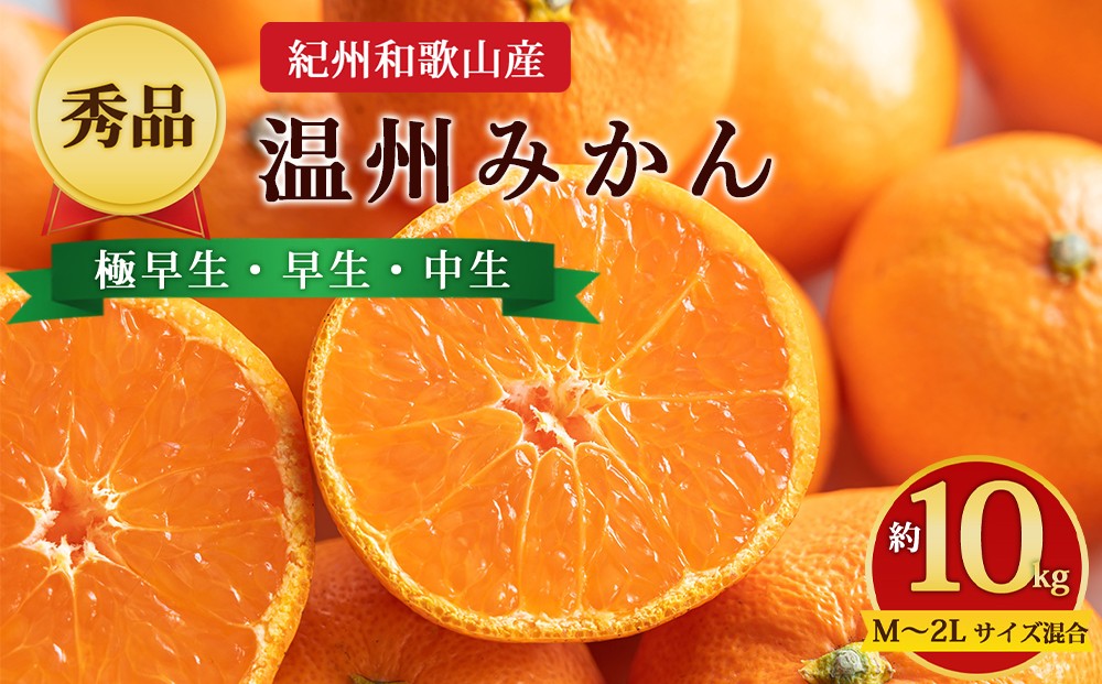 
                  【先行予約】【秀品】紀州和歌山産 温州みかん 約10kg（箱込み） M～2L サイズ混合（極早生・早生・中生）
                