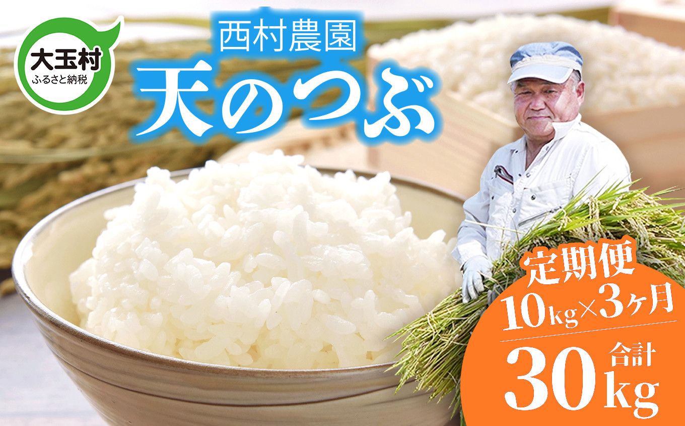 
米 定期便 天のつぶ 30kg ( 10kg × 3ヶ月 ) 《 令和6年 》 福島県 大玉村 西村農園 新米 ｜ てんのつぶ テンノツブ 精米 定期 3回 コメ ｜ nm-tt10-t3-R6
