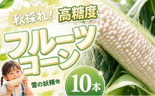 【先行予約】【2026年11月~順次発送】 秋採れ 南国フルーツコーン ホワイト種 ( 雪の妖精 他品種あり) 10本 | とうもろこし トウモロコシ コーン スイートコーン フルーツとうもろこし もぎたて 新鮮 朝採れ 朝どり 夏野菜 旬 期間限定 数量限定 産地直送 農家直送 フルーツのような甘さ 甘い 激甘 皮付き 家庭用 BBQ バーベキュー キャンプ アウトドア 高知県 南国市