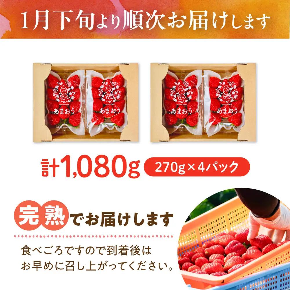 【先行予約】ココロファームの濃厚あまおう 270g×4P VAE022 いちご あまおう