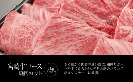 ＜宮崎牛＞バラ＆ロース 焼肉セット 合計1kg ※90日以内出荷【E118】