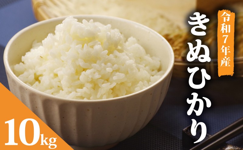 
                  令和7年産 きぬひかり 白米 10kg 【廣瀬松男】 [HM035_R7] 米 お米 白米 米 精米 白米 はくまい こめ キヌヒカリ 米 10kg 精米 ブランド米 国産 滋賀県産 竜王町産
                
