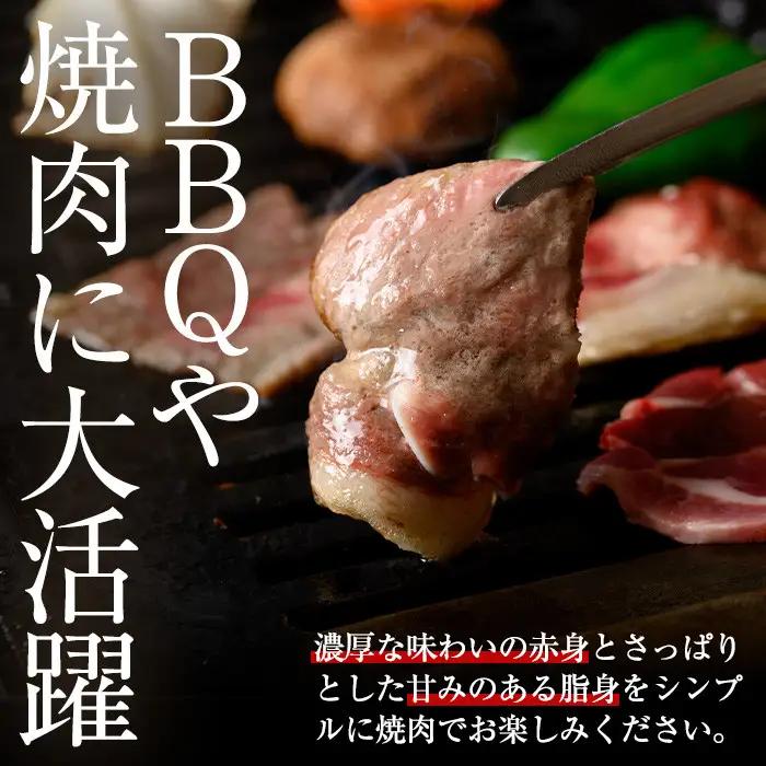 猪肉 ジビエ 焼肉用 計1kg 国産 イノシシ肉 切り落とし【きらく】A59003