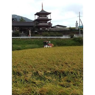 ふるさと納税 石岡市 【令和7年産】獅子米 にじのきらめき 玄米 30kg |  | 02