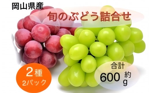 2025年 先行予約 岡山県産 旬のぶどう詰合せ 2種 2パック(シャインマスカット晴王 1房 約300g×1P、旬のぶどうお任せ 1房 約300g×1P)セット