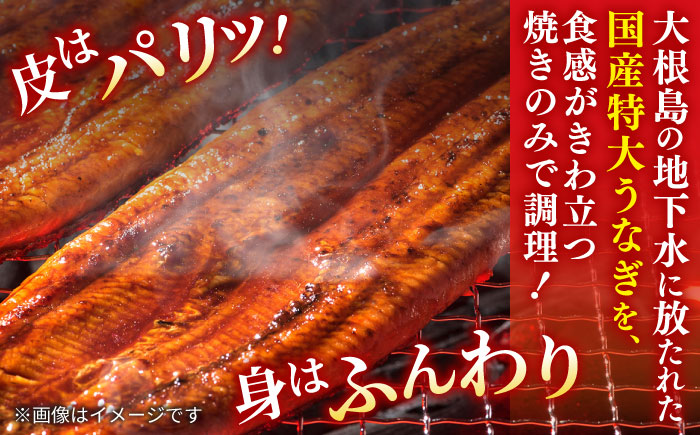 【3回定期便】うなぎ老舗専門店のパリっとふっくら 紅白うなぎ 蒲焼・素焼半身　(真空パック/秘伝のタレ・藻塩付き) 島根県松江市/株式会社山美世商会 [ALDC016]