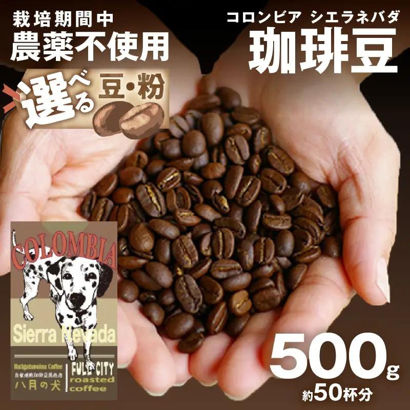 【コーヒー豆】 コロンビア シエラネバダ 500g コーヒー豆