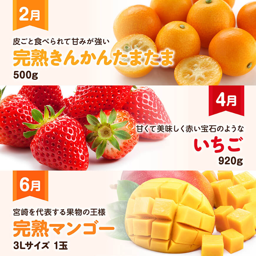 【全6回定期便】デラックス定期便【偶数月】　川南町産フルーツきんかんくだものフルーツいちごくだものフルーツ完熟マンゴー果物フルーツぶどうフルーツシャインマスカット果物フルーツメロンフルーツ[D1170