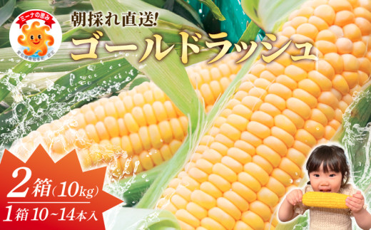 【先行予約】スイートコーン 約10kg（10～14本入り×2箱）冷蔵 とうもろこし 国産 朝採れ