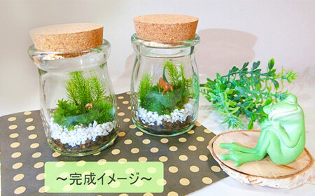 【D：飾り砂（ブルー系）×1袋】 おうちで作ろう♪ 苔テラリウム 手づくりキット 小瓶 選べるアイテム 【おうち時間】【インテリア】 育て方のしおり 付き 植物 テラリウム 苔テラリウム 苔 こけ コ