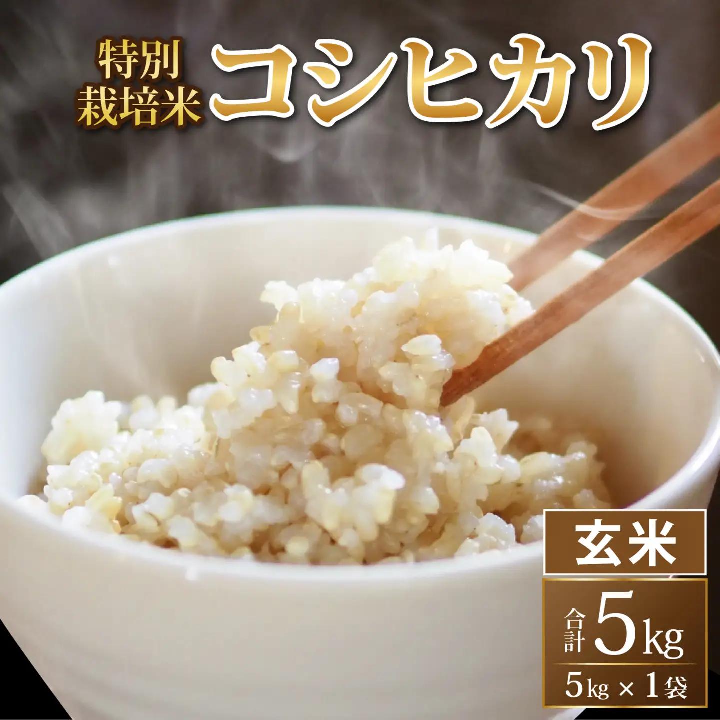 令和8年度産 コシヒカリ 5kg 玄米 特別栽培米 コシヒカリ  