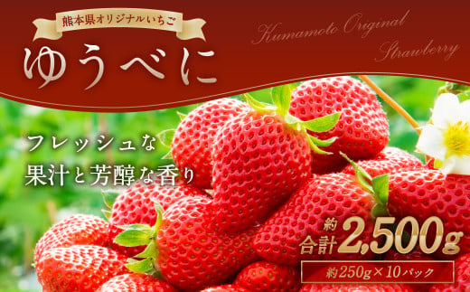 熊本産 ゆうべに 250g×10パック 計2.5kg 【2025年2月上旬～2月下旬発送予定】