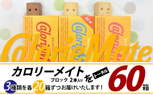 カロリーメイト ブロック 2本入り 3種類 各20箱 計60箱 【大塚製薬 チョコ バニラ メープル 5大栄養素 徳島県 那賀町 非常食 常備食 災害 新生活 備蓄 長期保存 栄養食】MS-8-1