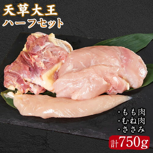 【ふるさと納税】天草大王 ハーフセット 約750g【幻の地鶏】もも・むね・ささみ各1枚 熊本県産 葦北郡 津奈木町《60日以内に出荷予定(土日祝除く)》