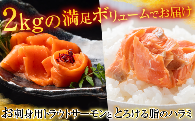 ＜12月14日決済分まで年内配送＞お刺身トラウトサーモン4～8本(計2kg)＆とろサーモンハラミ6～10枚(計2kg) F-09002