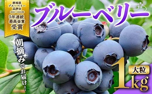 
            ブルーベリー大粒1kg 朝摘みでお届け！【5年連続最高金賞受賞 群馬県ブルーベリー品評会2021~2025年】 大粒 化学農薬不使用 除草剤不使用 フルーツ 果物 F4H-0684
          