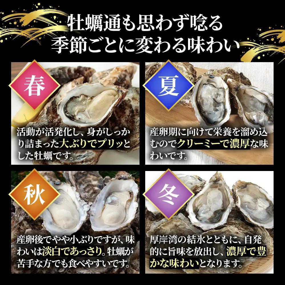 生食用 殻付カキ LLサイズ 10個 マルえもん 生牡蠣 北海道 厚岸産 牡蠣