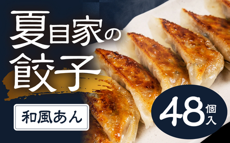 夏目家の和風あん餃子  〈3パック（計48個入）〉和風あん餃子 夏目家 餃子 訳あり セット 定期便 惣菜 ぎょうざ 愛知県 豊橋市